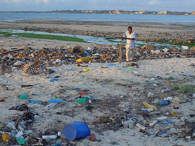 Image:Beach at Msasani Bay, Dar es Salaam, Tanzania.JPG