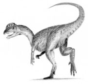 Dilophosaurus, one of the many extinct dinosaur genera. The cause of the Cretaceous–Tertiary extinction event is a subject of much debate amongst researchers.