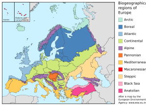 Biogeographic regions of Europe