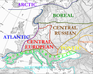 Floristic regions in Europe according to Wolfgang Frey and Rainer Lösch
