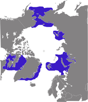 Distribution of walrus
