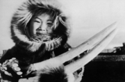 Siberian Yupik woman holding walrus tusks.