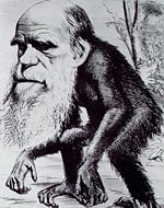 As "Darwinism" became widely accepted in the 1870s, amusing cariacatures of him with an ape or monkey body symbolised evolution.