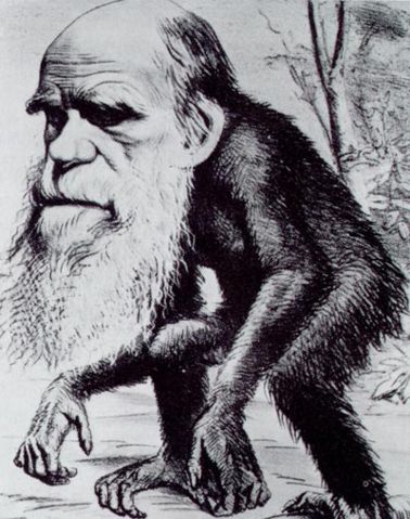 Image:Darwin ape.jpg
