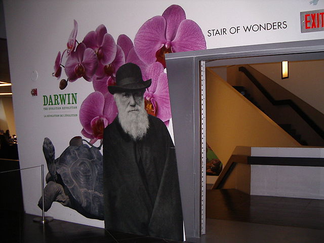 Image:ROM-DarwinExhibition.jpg