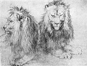 Albrecht Dürer, Lions sketch. Circa 1520.