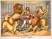 Nineteenth century etching of a lion tamer in a cage of lions