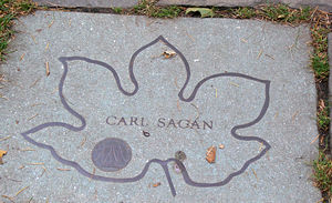Stone dedicated to Carl Sagan in the Celebrity Path of the Brooklyn Botanic Garden