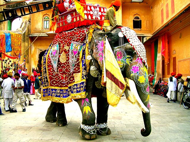 Image:Decorated Indian elephant.jpg