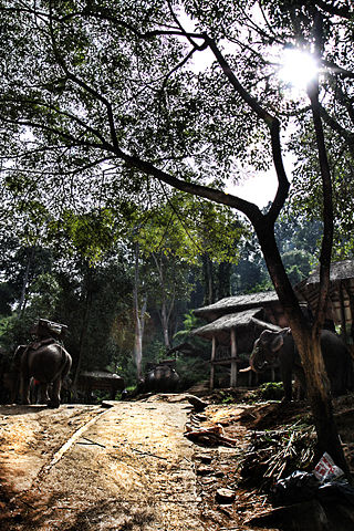 Image:Elephantcamp.jpg
