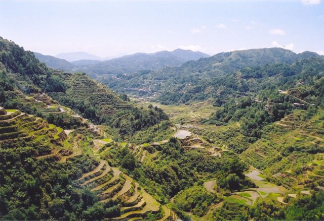 Image:Rice Terraces Banaue.jpg