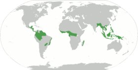 General distribution of tropical rainforest