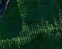 Deforestation in the Amazon Rainforest, as seen from a satellite
