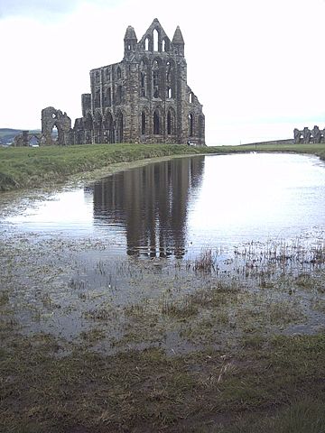 Image:Whitby abbey.jpg