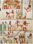 A tomb relief depicts workers plowing the fields, harvesting the crops, and threshing the grain under the direction of an overseer.