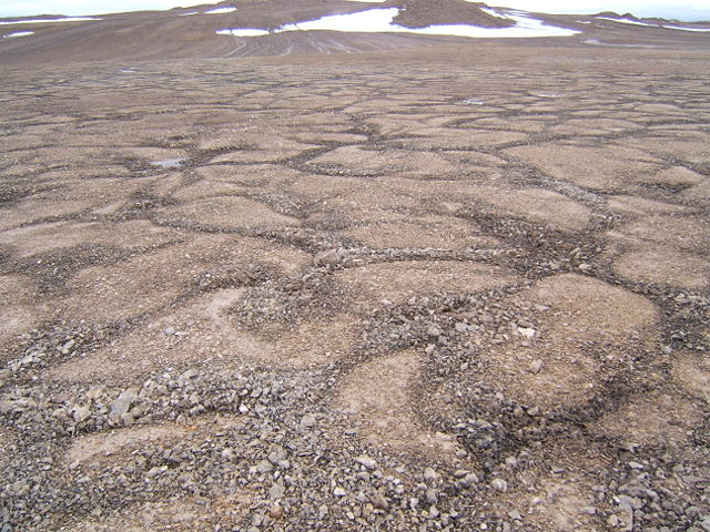 Image:Patterned ground devon island.jpg