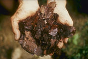 Garden waste for composting