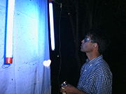 Entomologist using a UV light for collecting beetles in the Paraguayan Chaco.