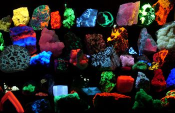 A collection of mineral samples brilliantly fluorescing at various wavelengths as seen while being irradiated by UV light.