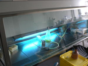A low pressure mercury vapor discharge tube floods the inside of a hood with shortwave UV light when not in use, sterilizing microbiological contaminants from irradiated surfaces.