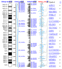 Map of the human X chromosome (from the NCBI website). Assembly of the human genome is one of the greatest achievements of bioinformatics.