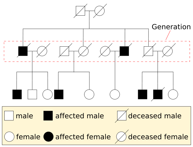 Image:Pedigree-chart-example.svg