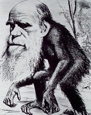 Caricature of Darwin as an ape in the Hornet magazine.