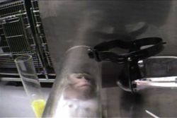 A monkey in a restraint tube filmed by PETA in a Covance branch, Vienna, Virginia, 2004–2005