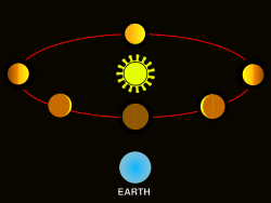 Galileo's discovery that Venus showed phases proved that it orbits the Sun and not the Earth