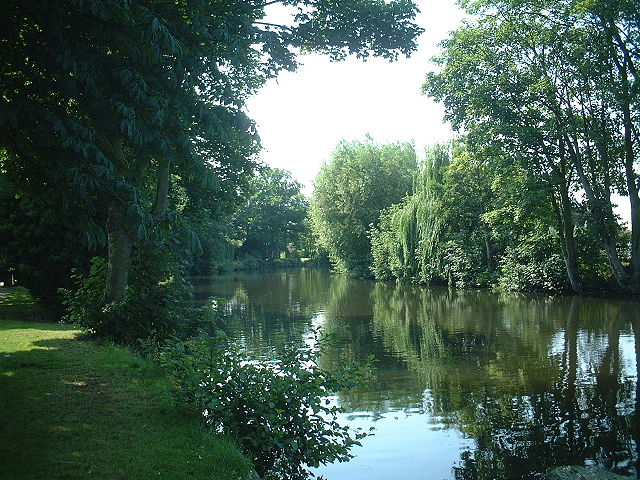 Image:The Wensum under trees.JPG