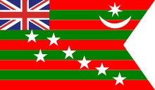 The flag used during the Home Rule movement in 1917