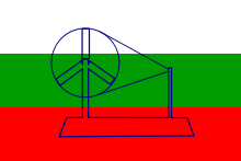 The flag unofficially adopted in 1921. With the Charkha in center.