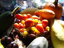 An arrangement of fruits commonly thought of as vegetables, including tomatoes and various squash