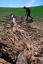 Severe soil erosion in a wheat field near Washington State University, US (c.2005)