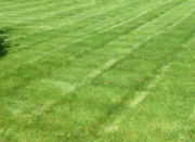 A striped lawn