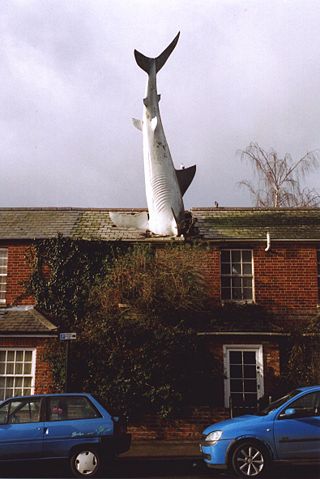 Image:Headingtonsharkfront.jpg