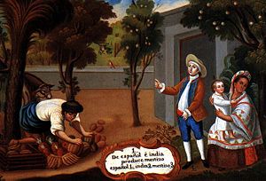 A representation of a Mestizo, in a "Pintura de Castas" during the Spanish colonial period of the Americas. The painting illustrates "A Spaniard and Amerindian, produce a Mestizo".