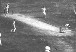 Bert Oldfield is hit in the head after Harold Larwood's delivery deflected off his bat.