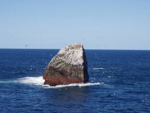 Rockall, a small, isolated rocky islet in the North Atlantic Ocean