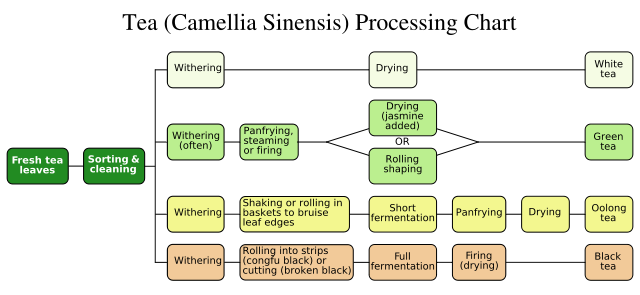 Image:Tea processing chart II.svg