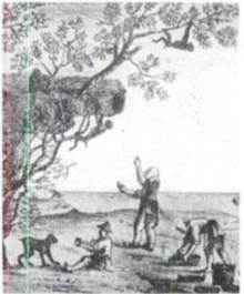 Illustration of the legend of monkeys harvesting tea.