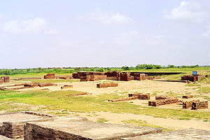 Archaeological site of Lothal.