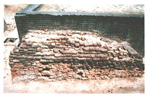 A block of bricks placed in the main drainage canal with four holes, from which the net to filter out solid waste was installed.