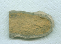 A carved stone tool, possibly a chisel-head.