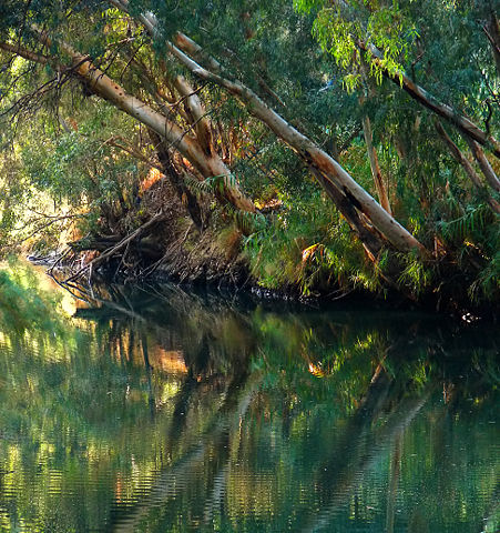 Image:Jordan River 2.jpg