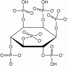 Structure of the metal chelator phytic acid.