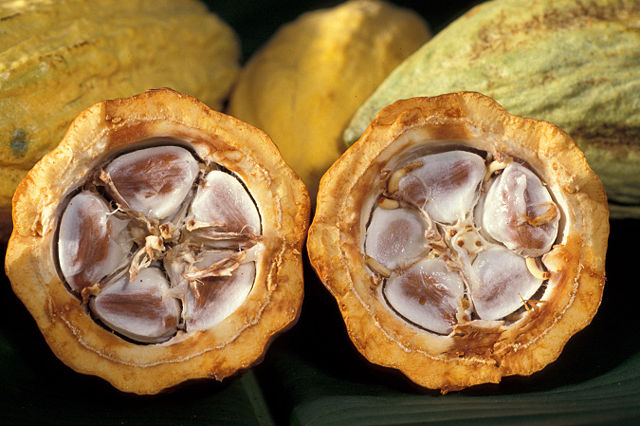 Image:Cacao-pod-k4636-14.jpg