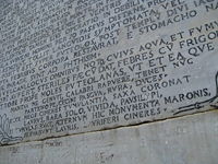 The inscription at Virgil's tomb describes the circumstances of his death and includes the famous verses allegedly compoesd by Virgil himself: "Mantua me genuit, Calabri rapuere, tenet nunc Parthenope.  Cecini pascua, rura, duces." ("Mantua bore me, the Calabrians snatched me away, now Naples holds me.  I sang of pastures, countrysides, leaders.")