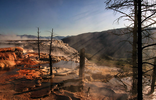 Image:Crepuscular rays and Dead trees at Mammoth Hot Springs.jpg