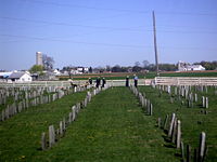 A modern Amish cemetery in 2006. Stones are still plain, small, and simple.